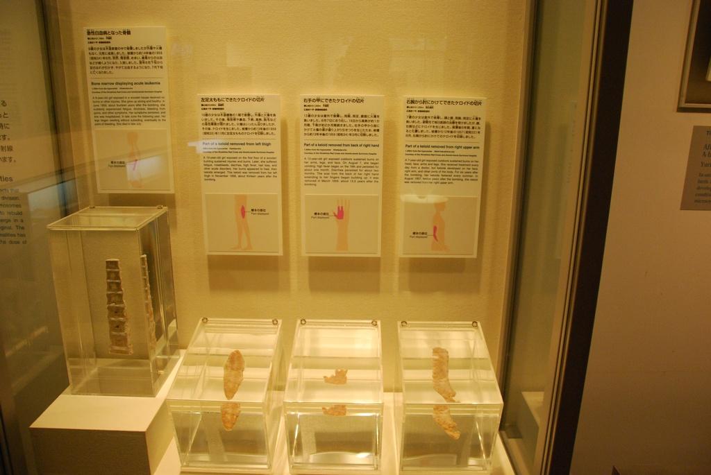 DSC_0082.JPG