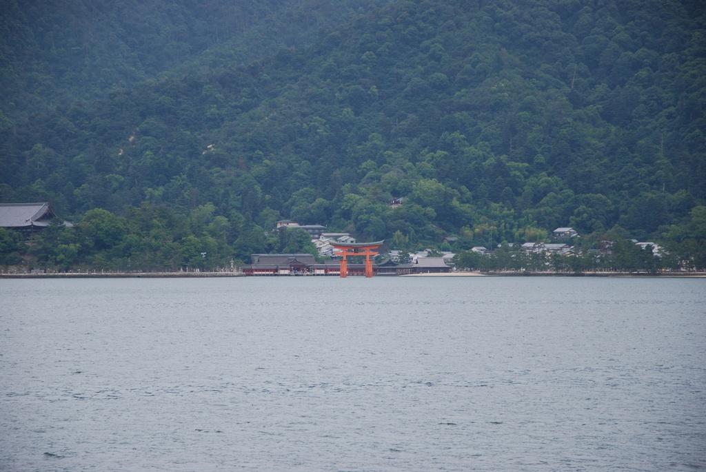 DSC_0102.JPG