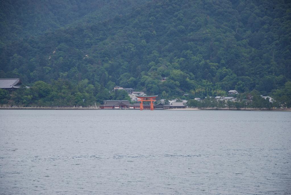 DSC_0103.JPG