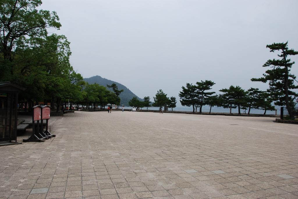 DSC_0133.JPG
