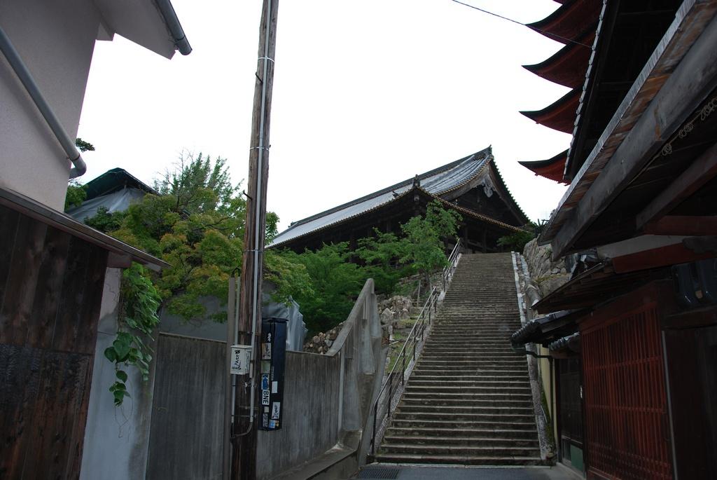 DSC_0155.JPG
