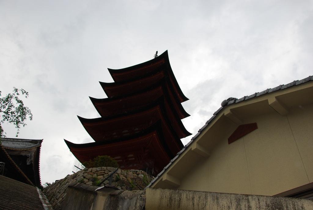 DSC_0156.JPG