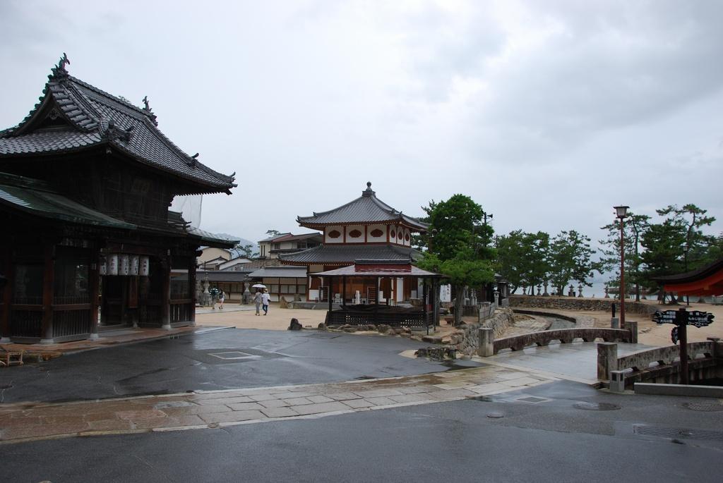 DSC_0203.JPG