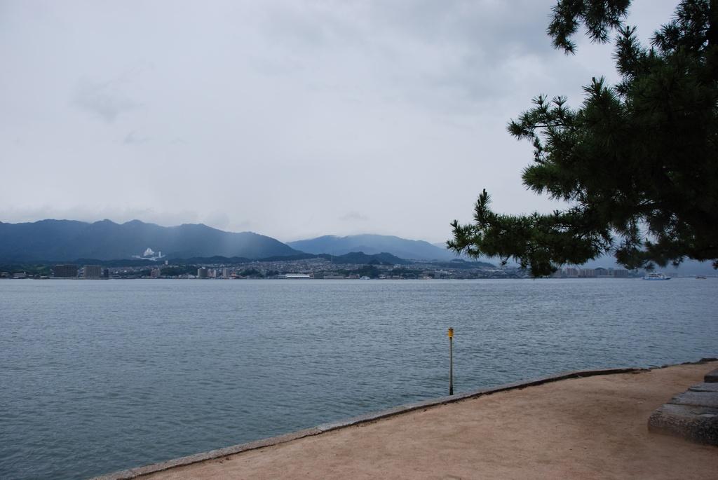 DSC_0217.JPG