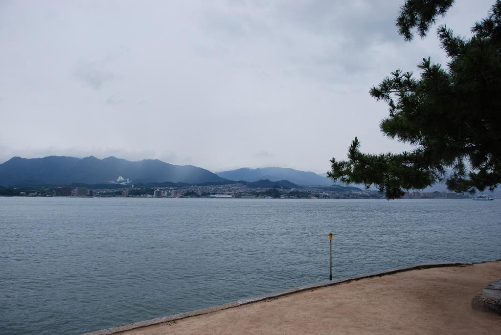 DSC_0218.JPG