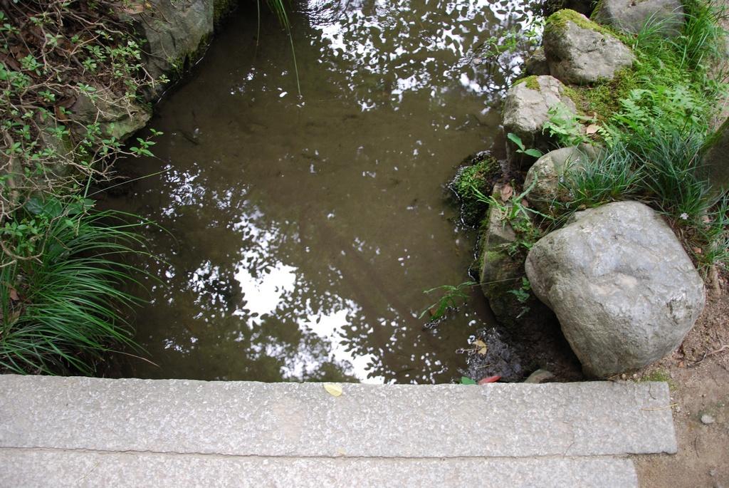DSC_0401.JPG