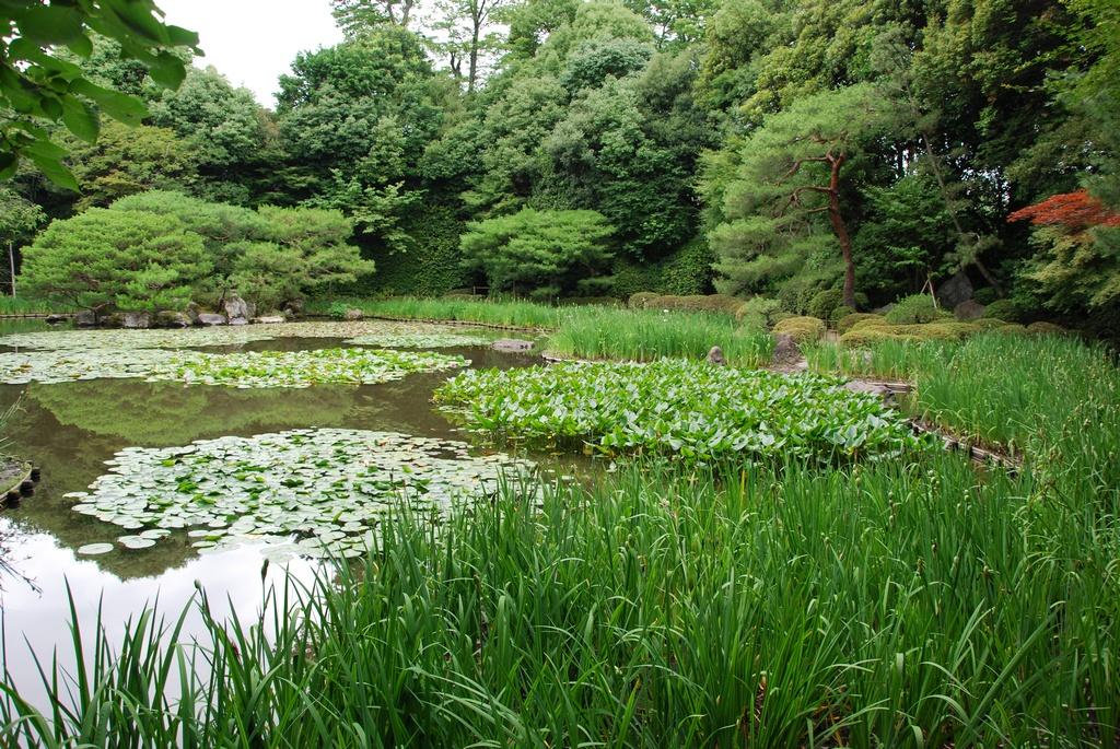 DSC_0416.JPG
