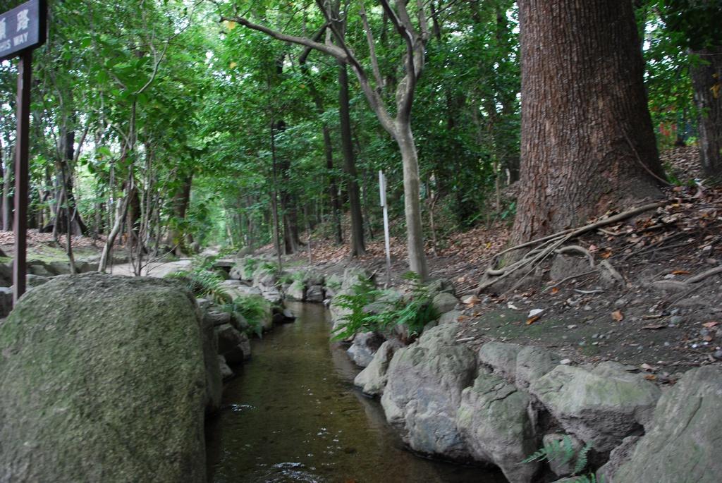DSC_0418.JPG