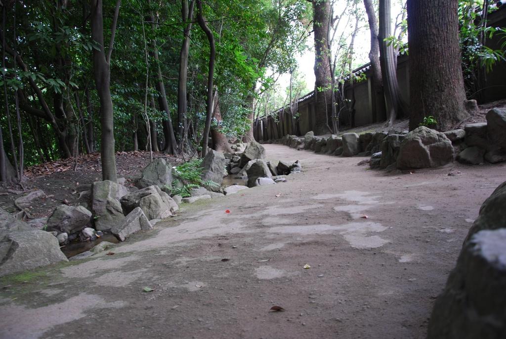 DSC_0419.JPG