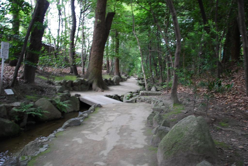 DSC_0421.JPG
