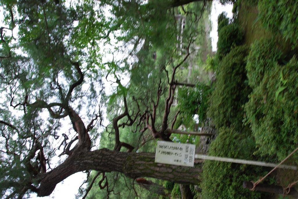 DSC_0455.JPG