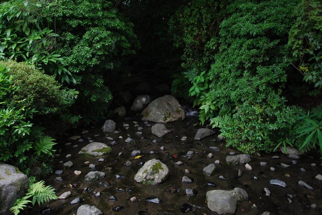 DSC_0456.JPG