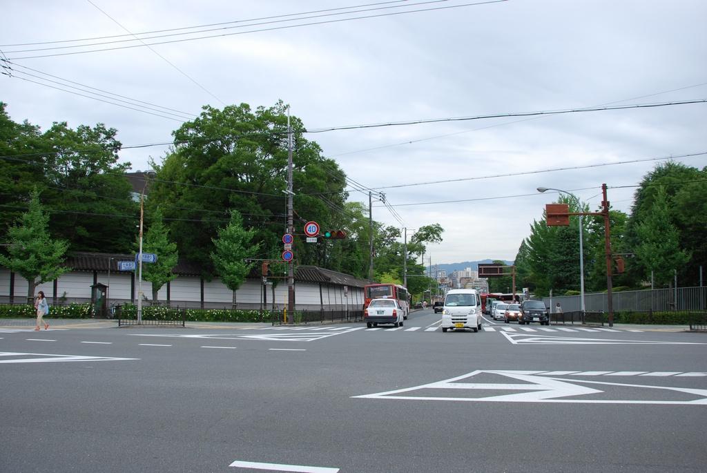 DSC_0228.JPG