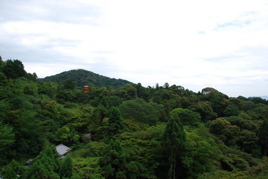 DSC_0271.JPG