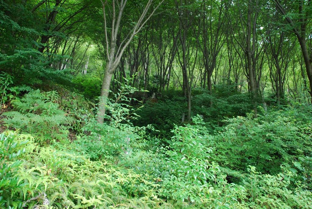 DSC_0296.JPG