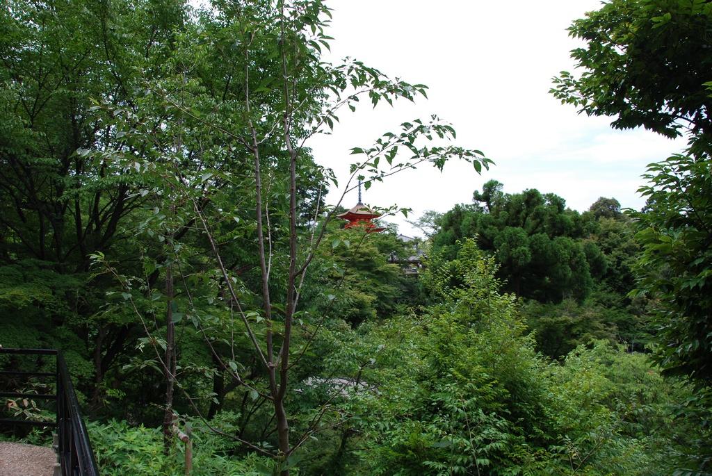 DSC_0297.JPG