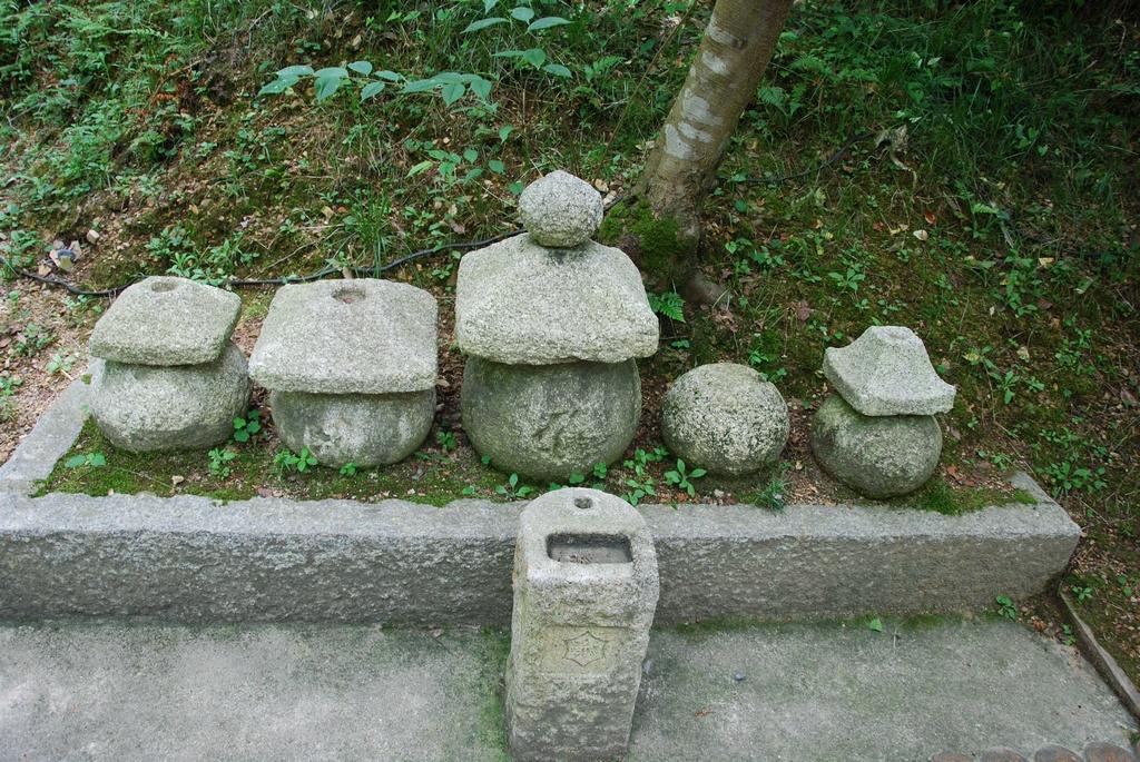 DSC_0303.JPG