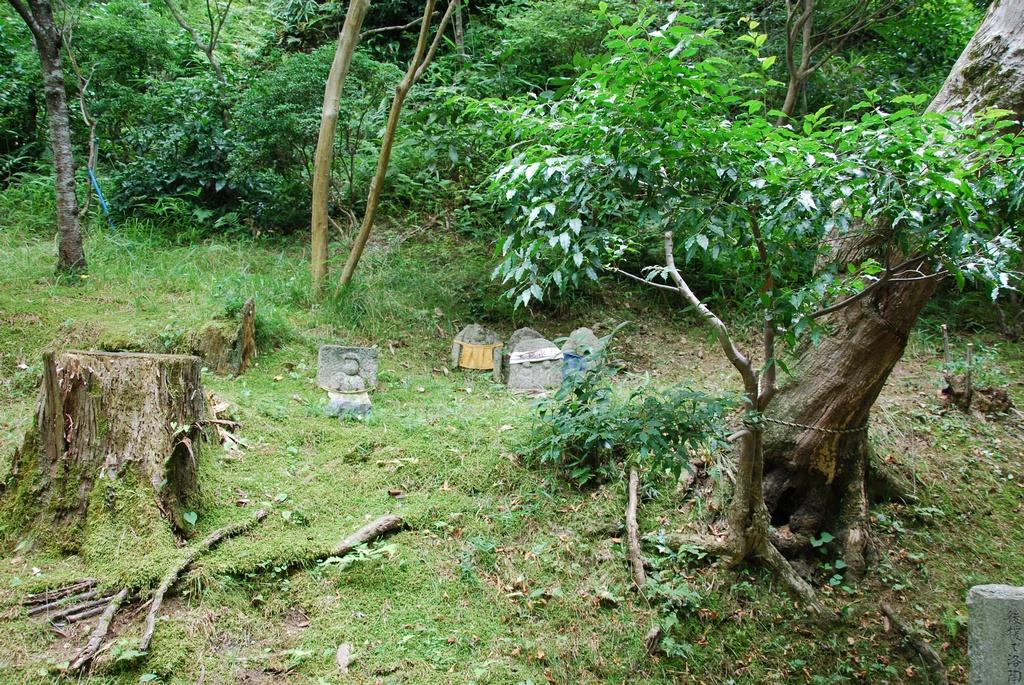 DSC_0307.JPG