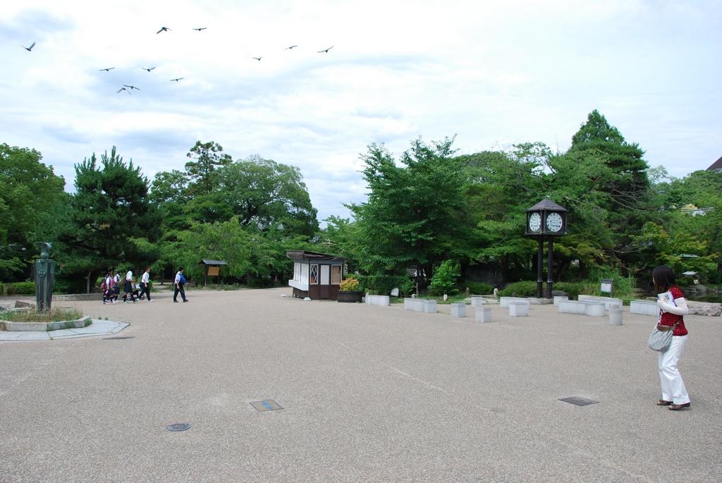 DSC_0344.JPG