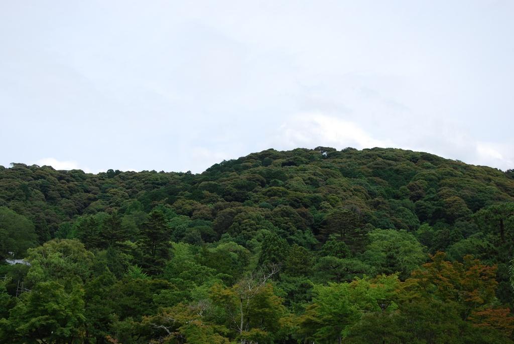 DSC_0348.JPG