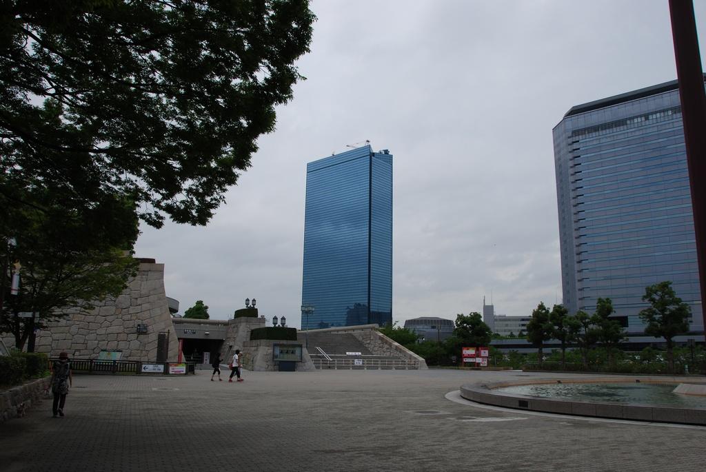 DSC_0524.JPG