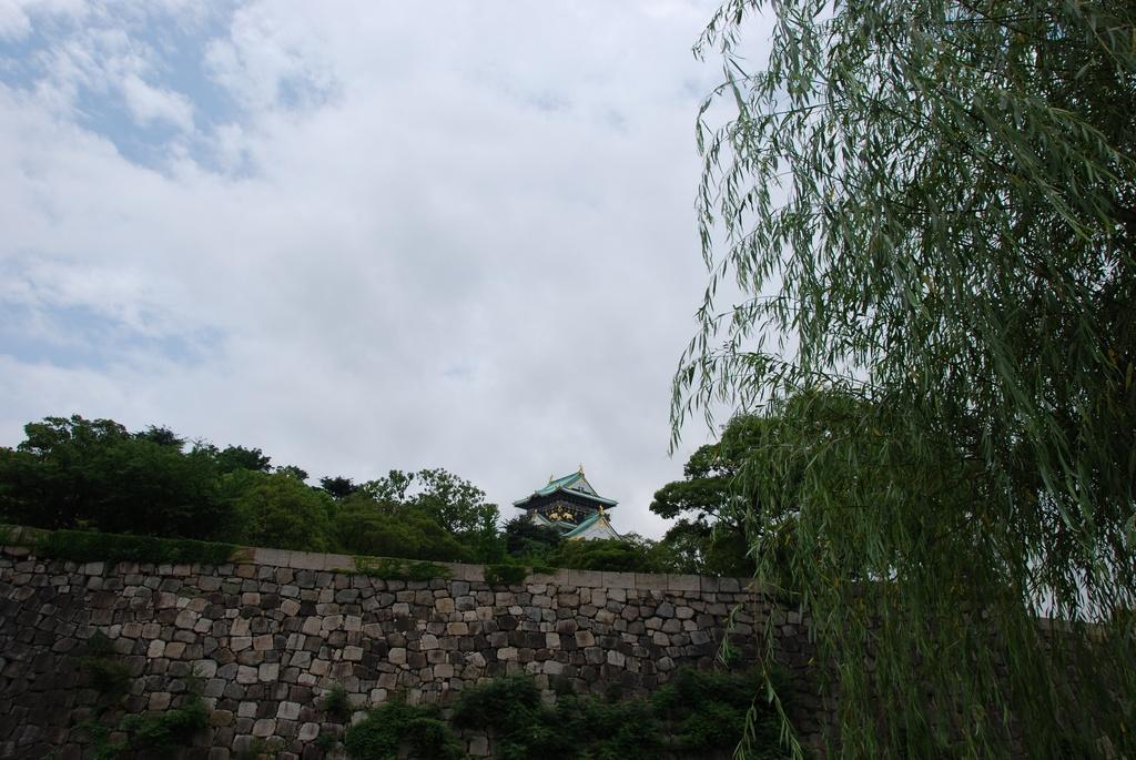 DSC_0540.JPG