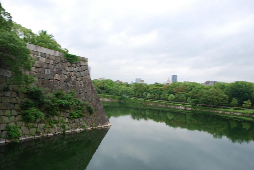 DSC_0545.JPG