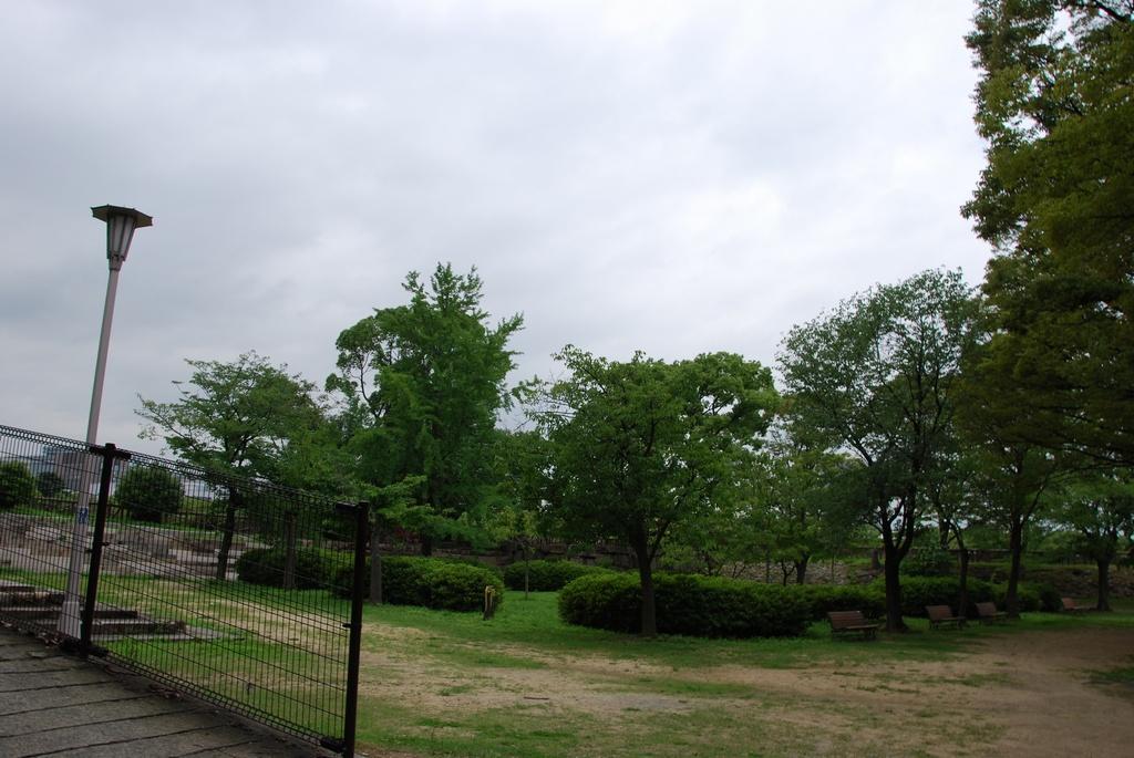 DSC_0557.JPG