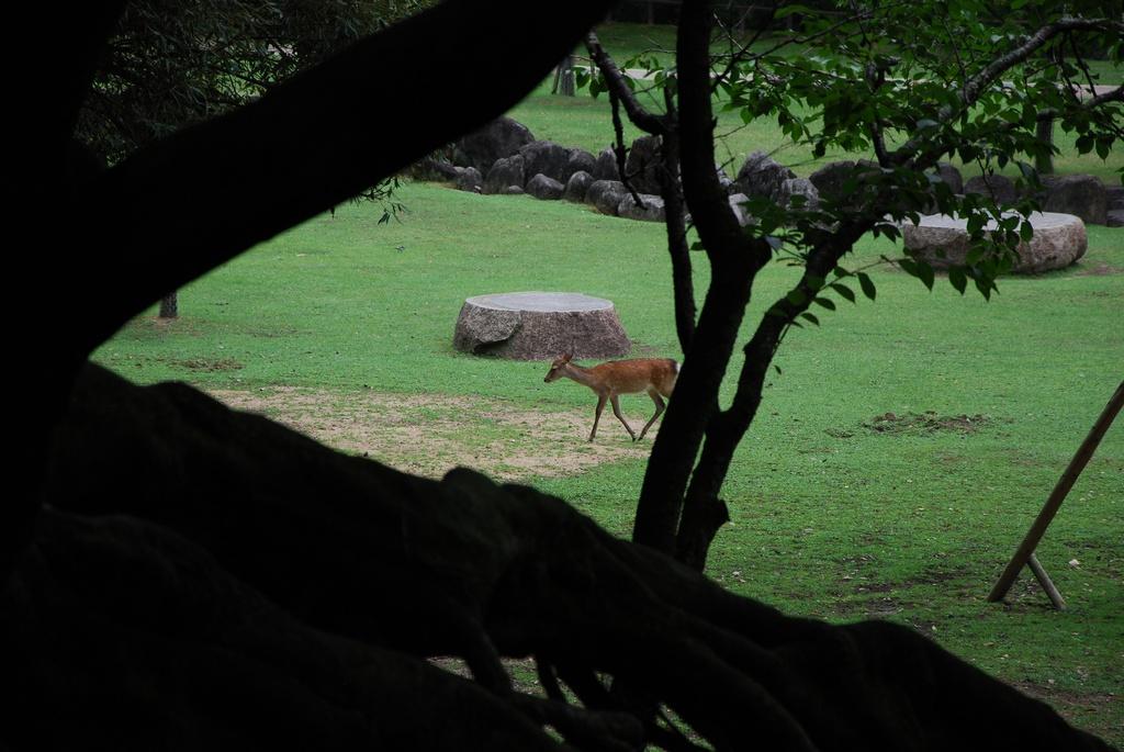 DSC_0759.JPG