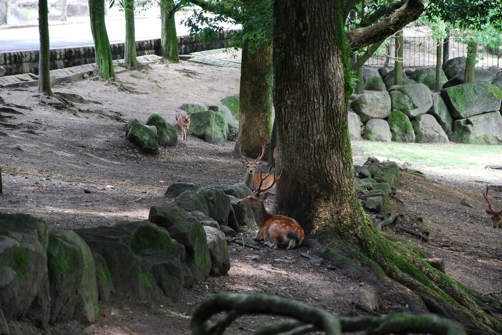DSC_0760.JPG