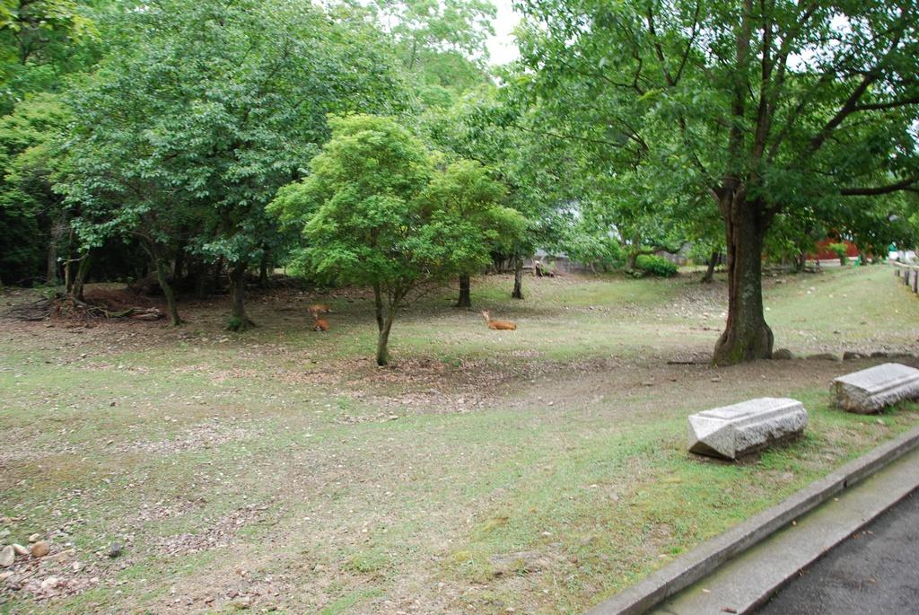 DSC_0788.JPG