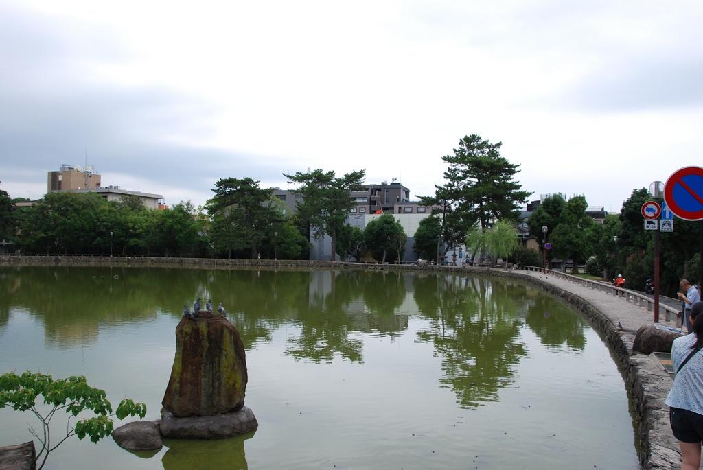 DSC_0730.JPG