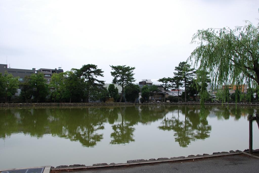 DSC_0733.JPG