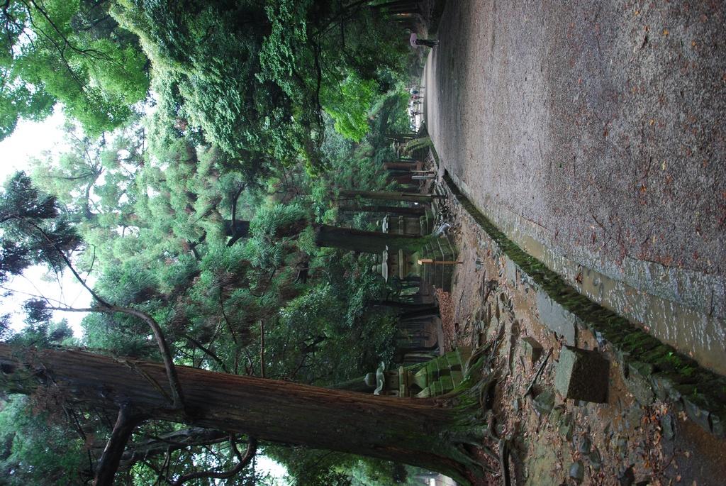 DSC_0903.JPG