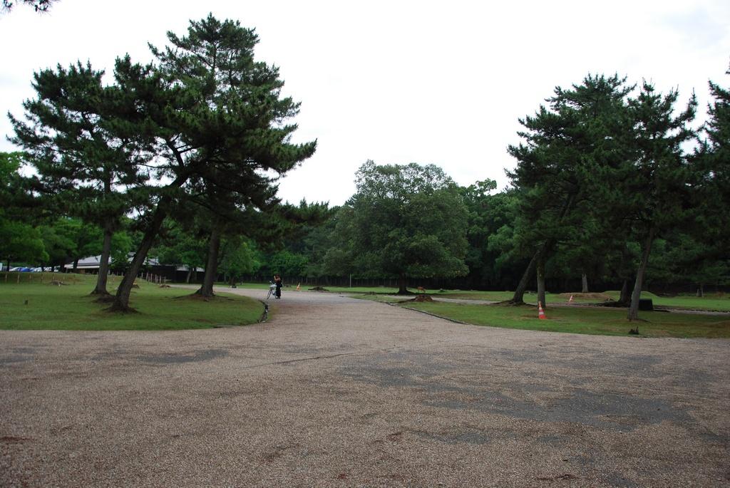 DSC_0915.JPG