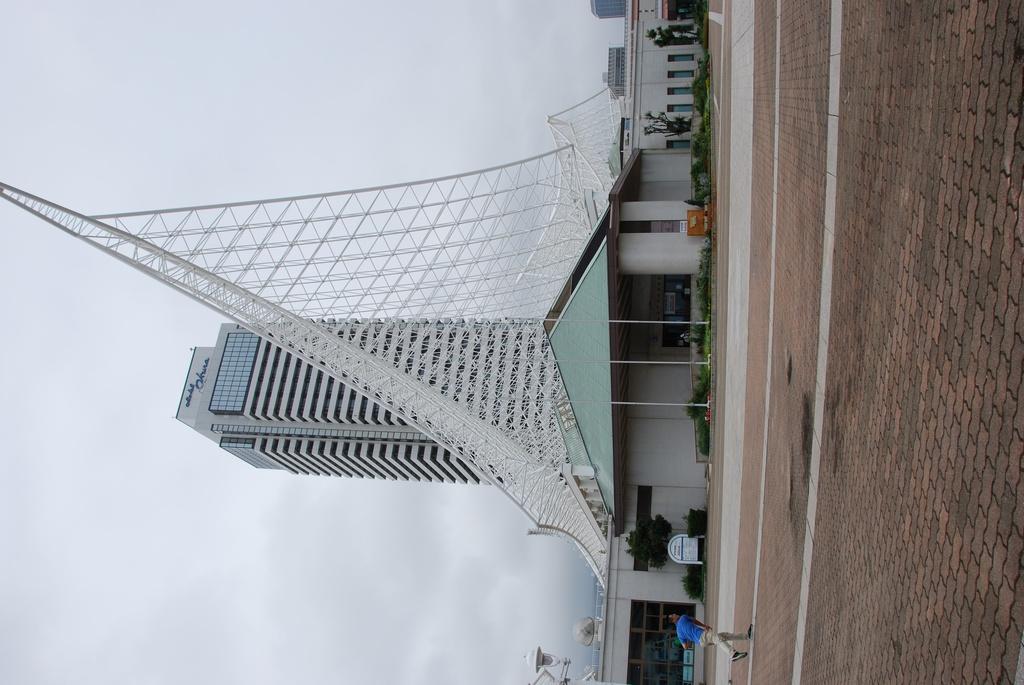 DSC_0993.JPG
