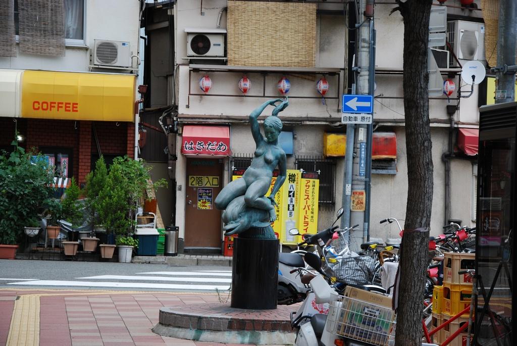 DSC_0997.JPG