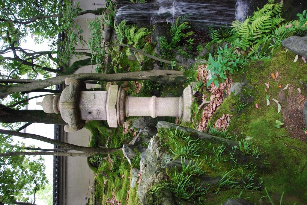 DSC_1046.JPG