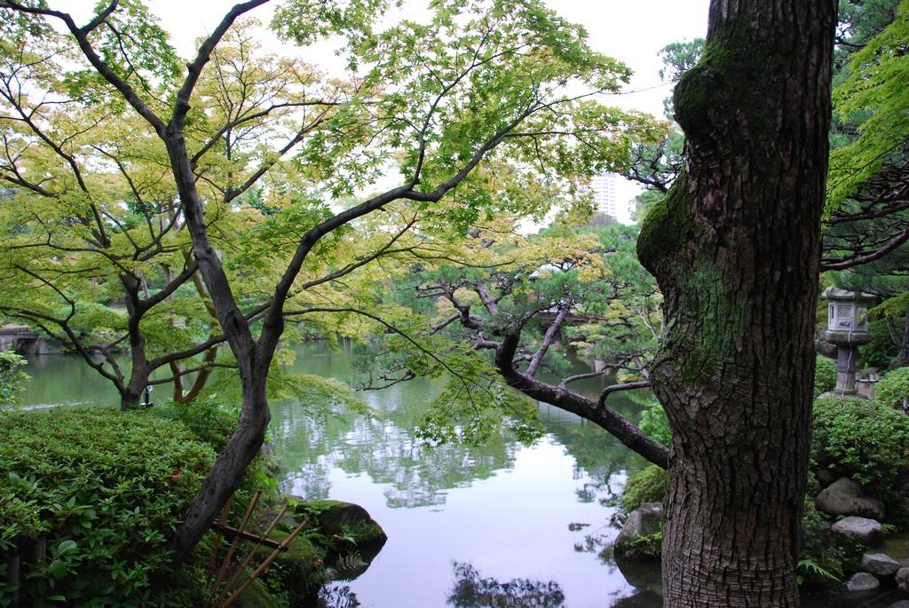 DSC_1052.JPG