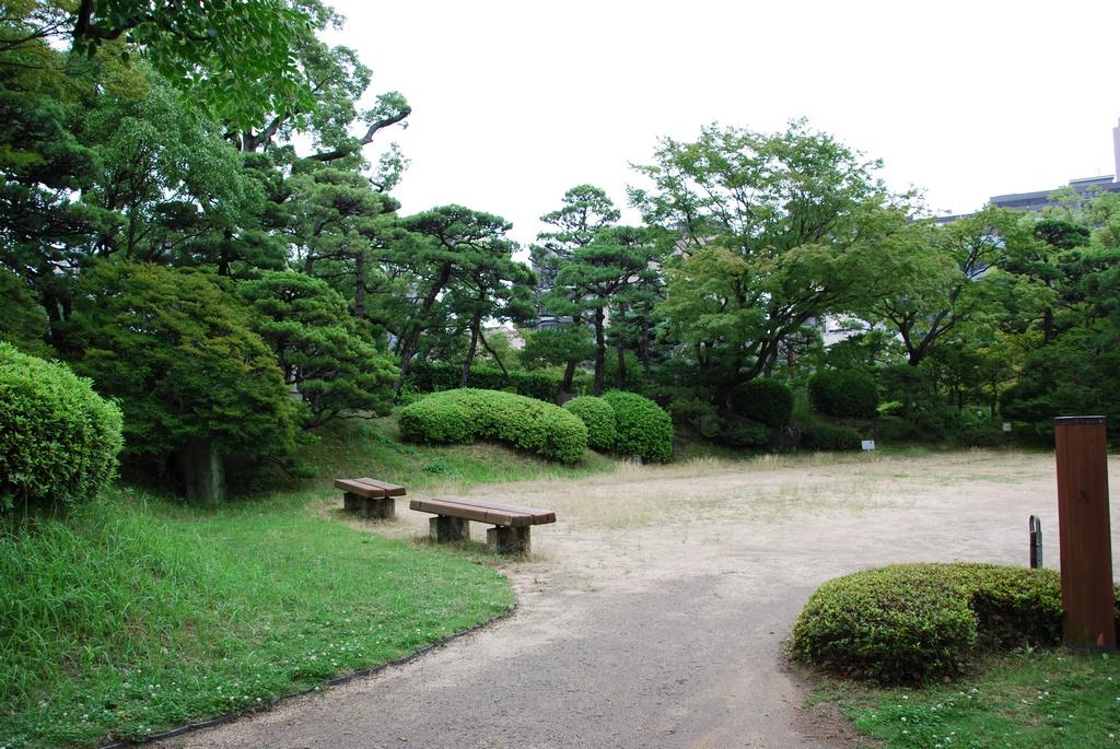 DSC_1023.JPG