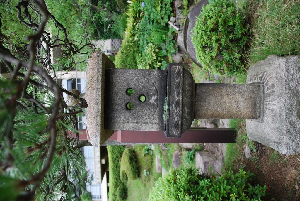 DSC_1032.JPG