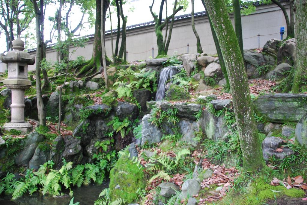 DSC_1039.JPG