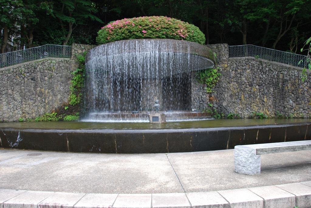 DSC_1068.JPG