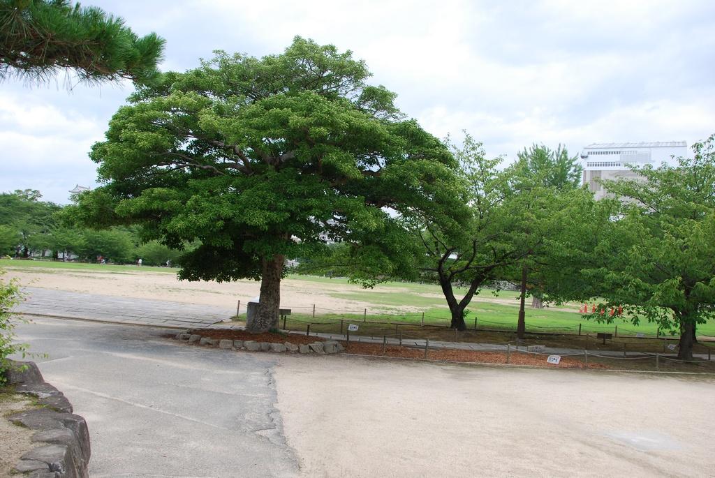 DSC_0045.JPG