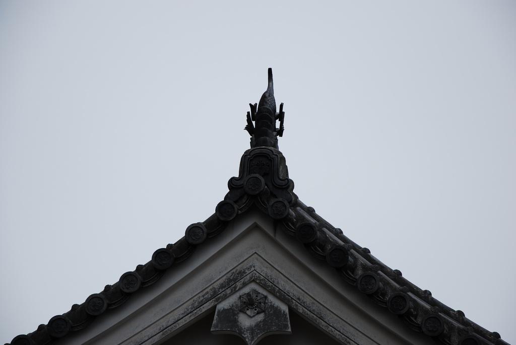 DSC_0093.JPG
