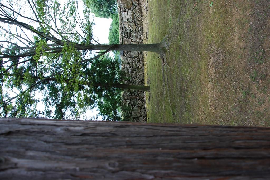 DSC_0144.JPG