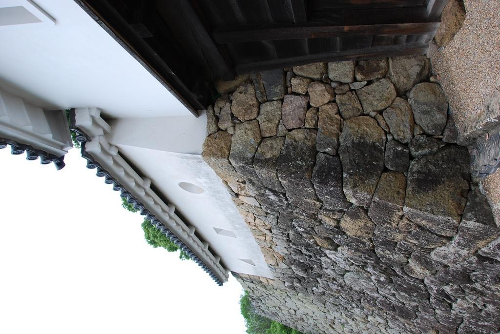 DSC_0148.JPG
