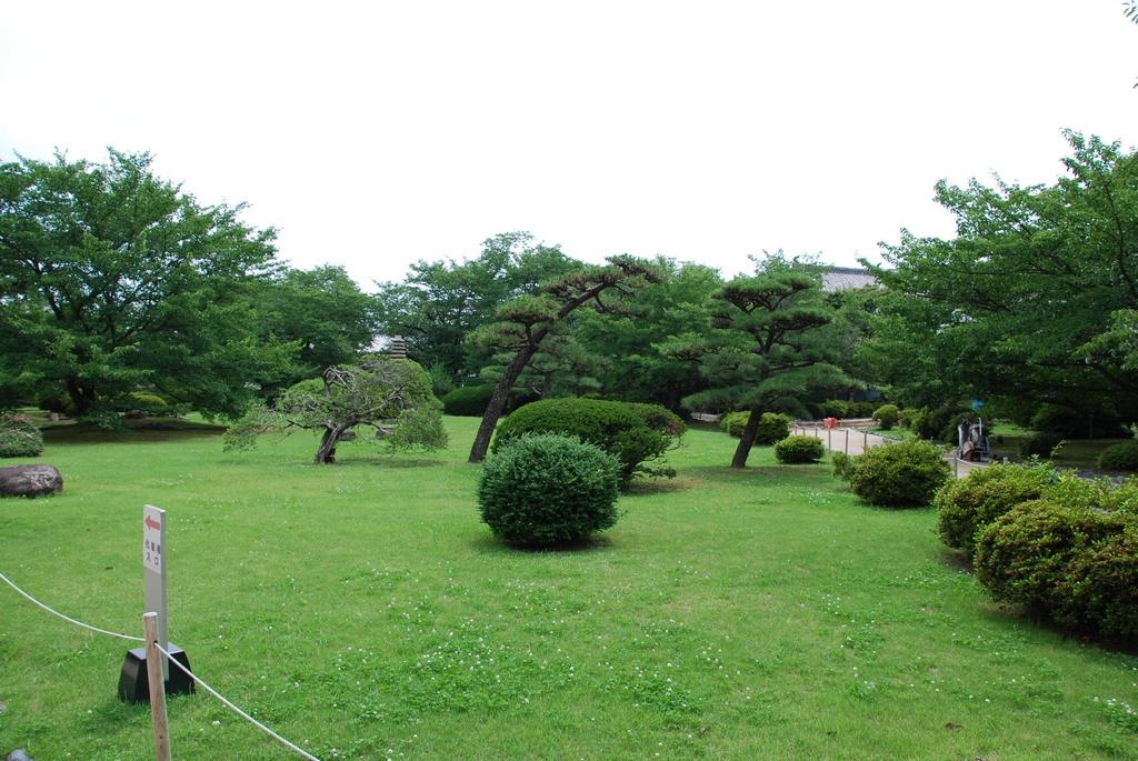 DSC_0159.JPG
