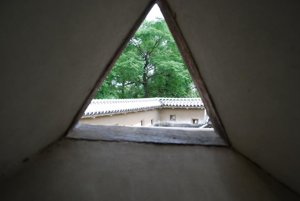 DSC_0150.JPG