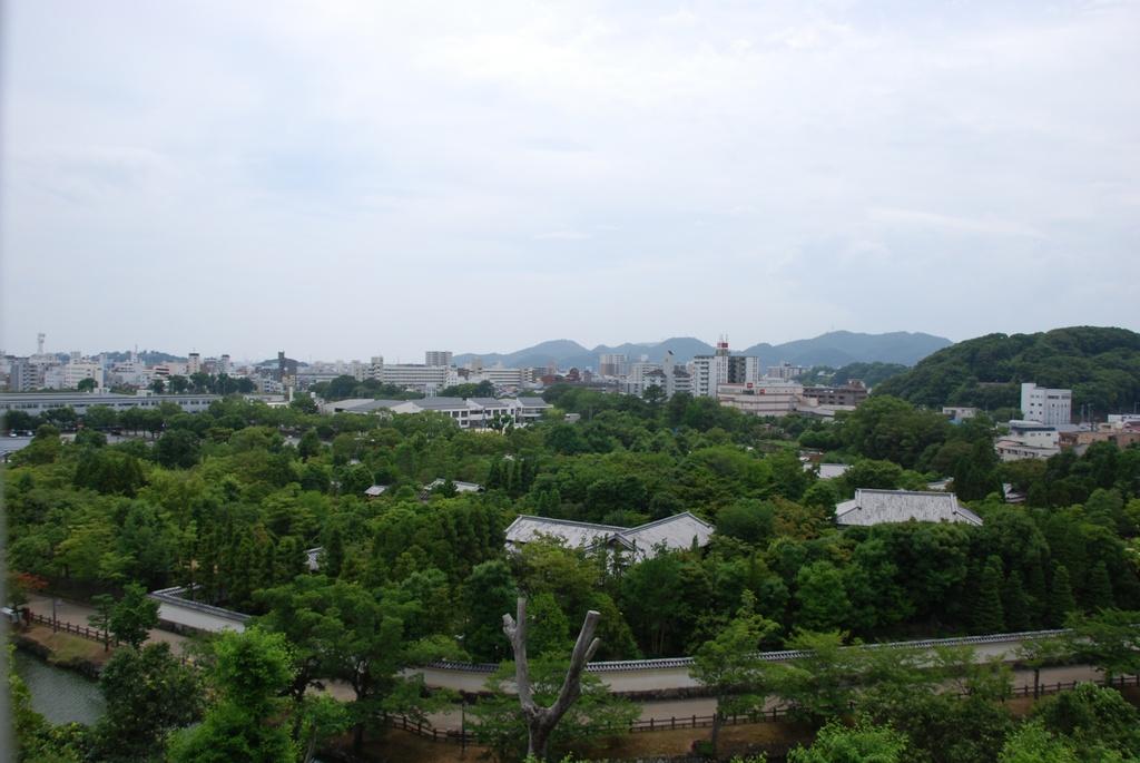 DSC_0170.JPG
